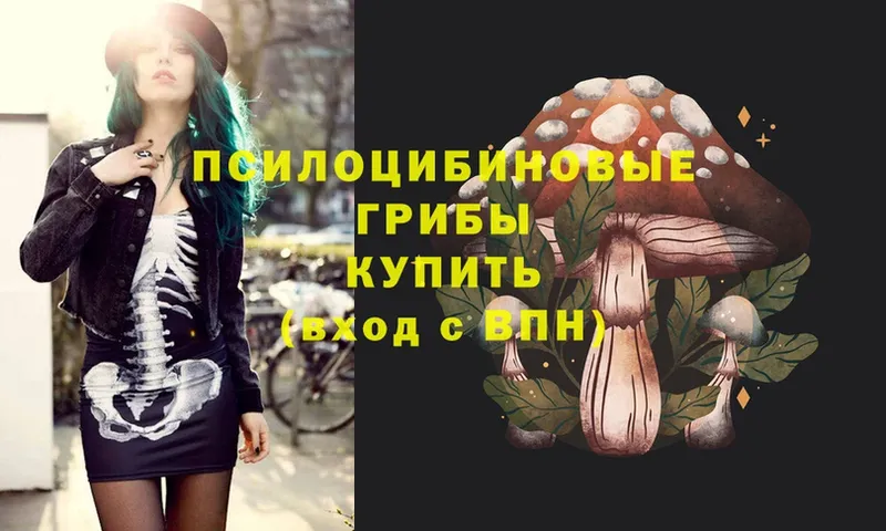 Псилоцибиновые грибы Psilocybe  Задонск 